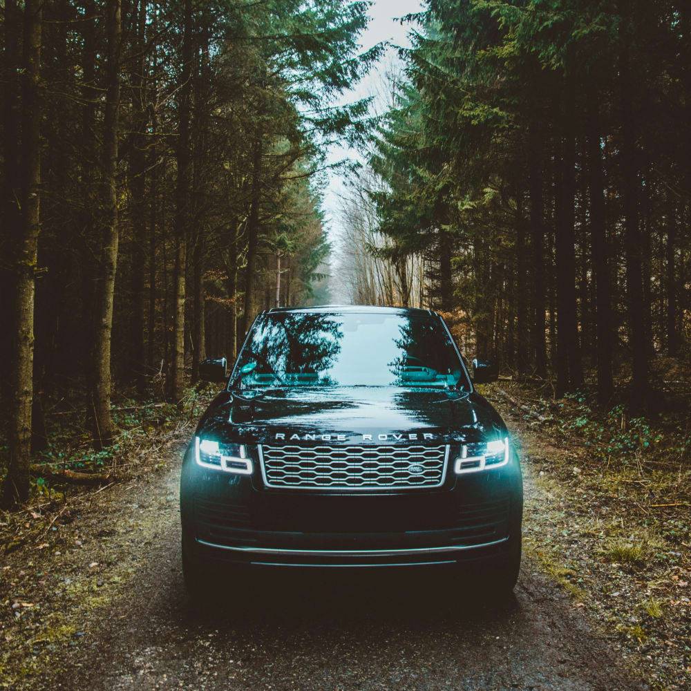 Land Rover Repair and Service in Springfield, VA
